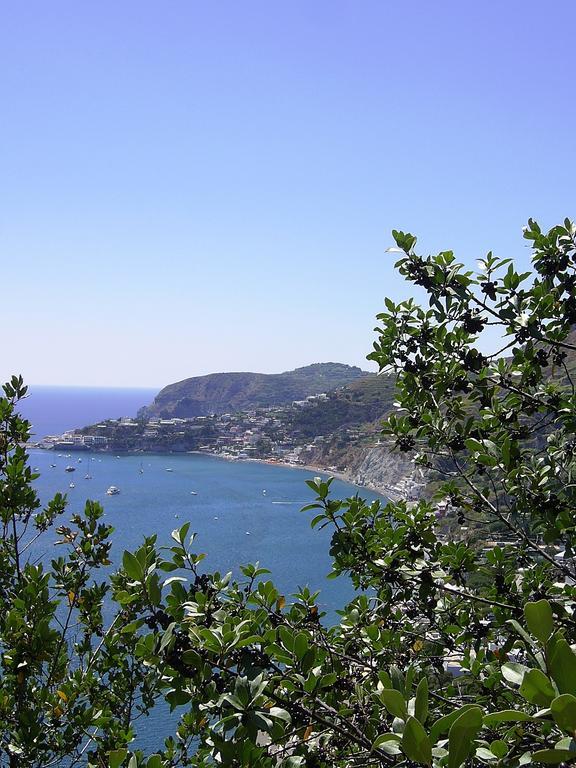 Hotel San Giovanni Terme Ischia Eksteriør billede